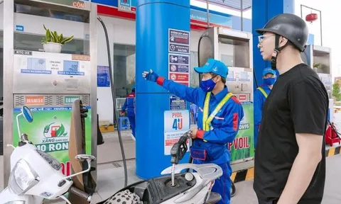 Giá xăng, dầu chiều nay (6/8): Đồng loạt giảm giá