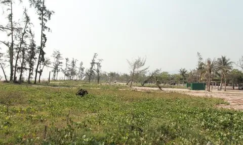 Nhiều dự án “treo” tại khu du lịch biển: Nơi bỏ hoang, nơi đầu tư thì bị vướng