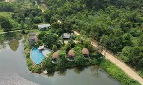 Thành ủy Hà Nội chỉ đạo làm rõ trách nhiệm vụ villa, homestay mọc như nấm trong rừng phòng hộ Sóc Sơn