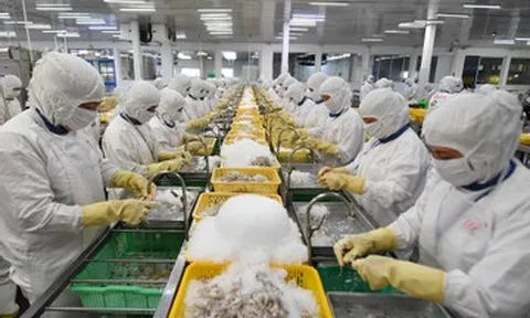 Tiến gần kỷ lục 12 tỷ USD, thế mạnh Việt đối mặt nhiều ‘chông gai’