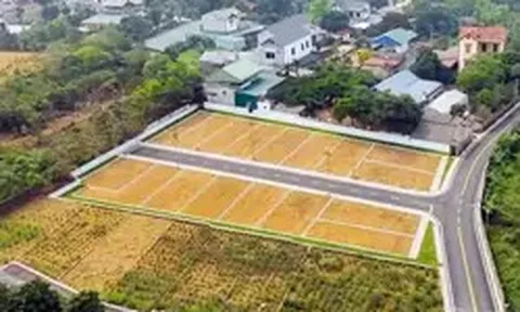 Đất nền có nơi 'bốc hơi' hơn một nửa so với mức giá đỉnh sốt