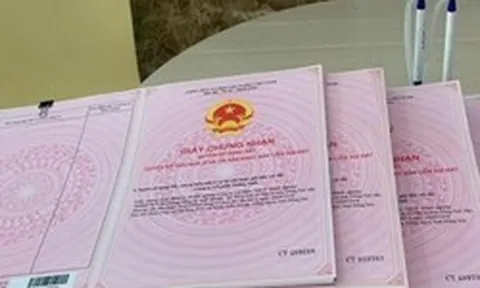 Đất nhận chuyển nhượng lâu năm, mất giấy tờ gốc: Làm sao để cấp sổ?