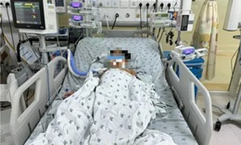 Ba chị em ngộ độc thuốc diệt chuột sau nhiều ngày ăn chuột đồng