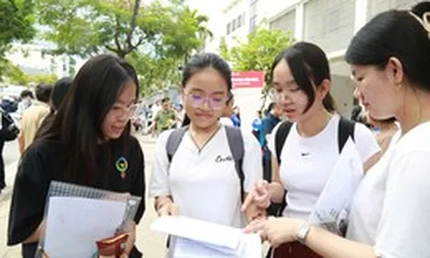 Phương án sắp xếp trường học công lập ở Đà Nẵng: Trường nào giữ nguyên, trường nào sáp nhập?