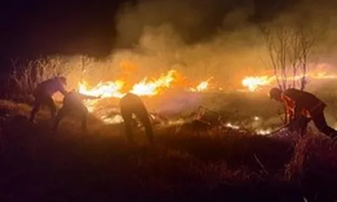 Cháy rừng nghiêm trọng tại Indonesia, khói mù bắt đầu lan ra khu vực