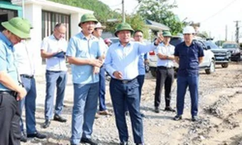 Sau gần 3 tháng khởi công, cao tốc 23.940 tỷ đồng dài 60km, có sự tham gia của Đèo Cả đang được triển khai ra sao?