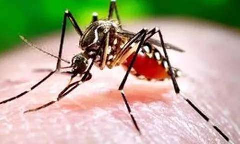 Đắk Lắk có trường hợp đầu tiên tử vong do sốt xuất huyết Dengue trong năm nay