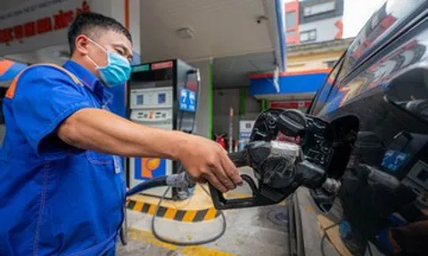 Giá xăng dầu hôm nay 11/8: Thế giới tăng, trong nước sắp điều chỉnh