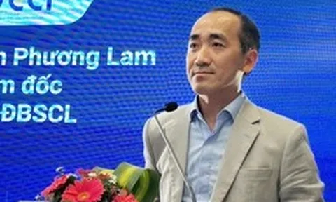 Số doanh nghiệp quy mô lớn ở Đồng bằng sông Cửu Long chỉ 0,9%