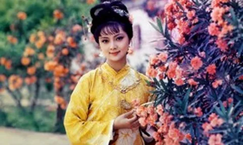 Con đường thành đại gia trăm triệu USD của mỹ nhân 'Hồng lâu mộng'