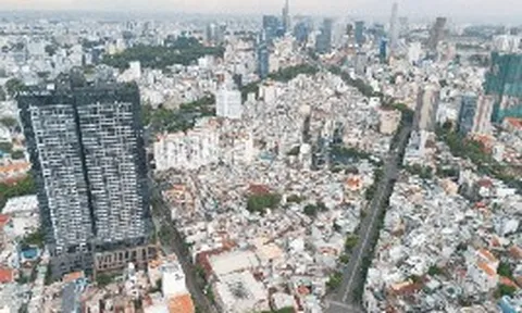 Hiện tượng gây chú ý tại Phát Đạt, Khang Điền, Novaland...