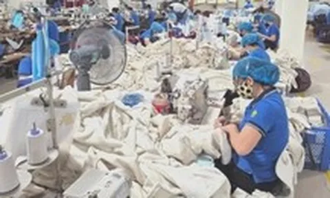 Ứng phó trước nghi vấn gian lận xuất xứ từ 'mạng lưới ngầm' hàng xuất khẩu sang Mỹ ra sao?