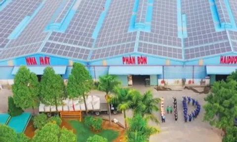 Phân bón Hải Dương: Chất lượng và chữ tín là nền tảng phát triển bền vững