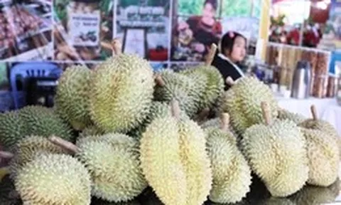 90% kim ngạch xuất khẩu sầu riêng đang tới Trung Quốc, kỳ vọng thị trường đa dạng hơn