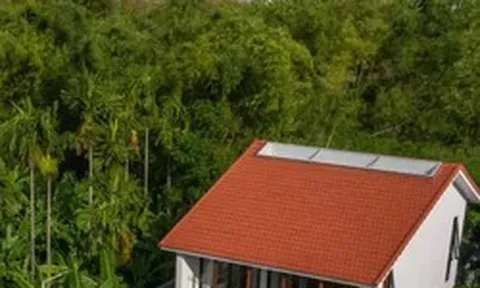 Ngôi nhà mới lấy cảm hứng từ những căn gác chống lũ