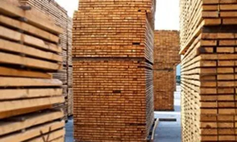 Ngành gỗ bước vào cuộc đua mới: Cạnh tranh bằng năng lực vận hành và tri thức