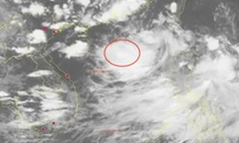 Xuất hiện vùng áp thấp trên Biển Đông, Bắc Bộ và Bắc Trung Bộ mưa lớn từ đêm nay
