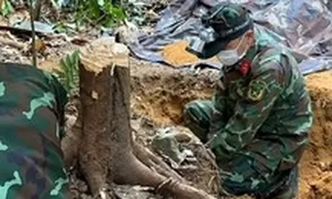 Tìm thấy hài cốt liệt sĩ từ thông tin của một người đi tìm mật ong rừng