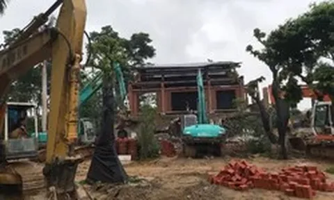 Hà Nội: Hơn 4.000ha đất của các Công ty nông, lâm trường chưa bàn giao