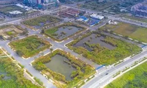Điểm đặc biệt của lô 'đất vàng' ở Thủ Thiêm sắp được đấu giá