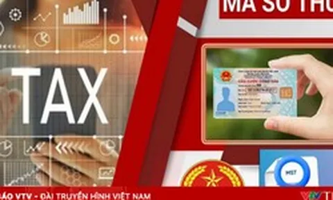“Làm sạch” 617.000 mã số thuế để minh bạch môi trường kinh doanh