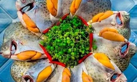 Con cá nâu xuất hiện ở vùng đất Cà Mau tự bao giờ mà thành đặc sản