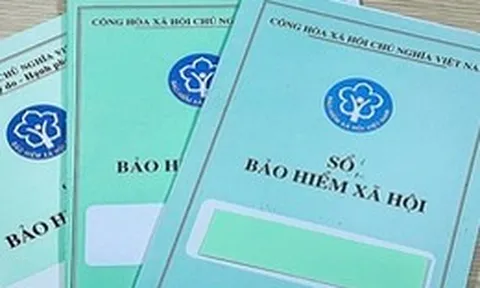 TP.HCM: 100 doanh nghiệp chậm đóng BHXH hơn 869 tỉ đồng, có nơi nợ hơn 10 năm