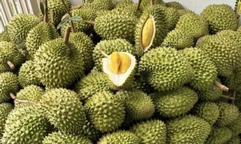 1 tỷ người Trung Quốc chưa ăn sầu riêng, có 'hộ chiếu' chưa chắc bán giá cao