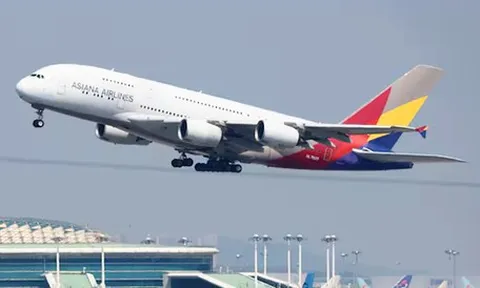 Hành khách kiện Asiana Airlines đòi 100 triệu USD sau khi bị Việt Nam từ chối nhập cảnh