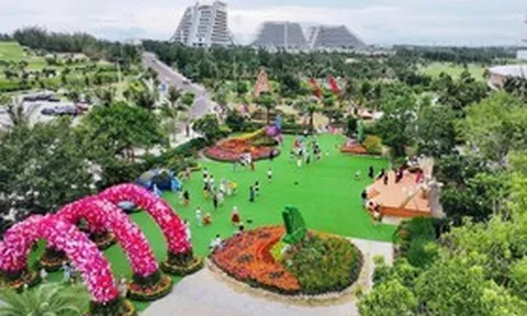 Lễ hội ngàn hoa, điểm check-in mới của Gia Lai