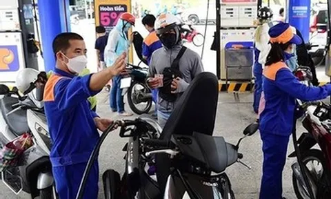 Giá xăng dầu hôm nay 23/8: Thế giới và trong nước đều ghi nhận tuần tăng