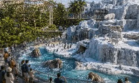 Tỷ phú Phạm Nhật Vượng đang cho xây một "thế giới băng giá" ngay cạnh Safari nhiệt đới giữa Nam Bộ: Nằm trong quần thể 122ha, sẽ có những loài hiếm thấy ở Việt Nam