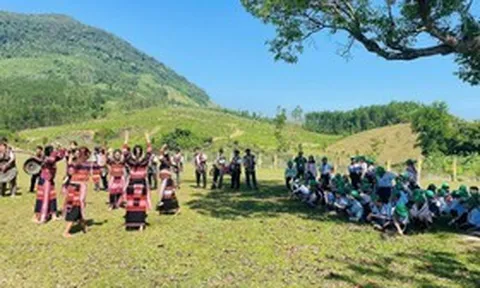 Người Bana ở Gia Lai gieo cây, giữ rừng phát triển du lịch cộng đồng