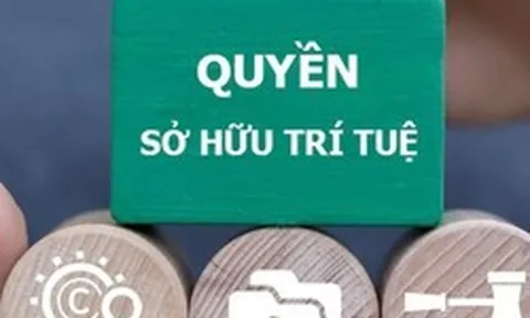 Tăng cường chế tài xử lý các hành vi xâm phạm quyền, vi phạm pháp luật về sở hữu trí tuệ
