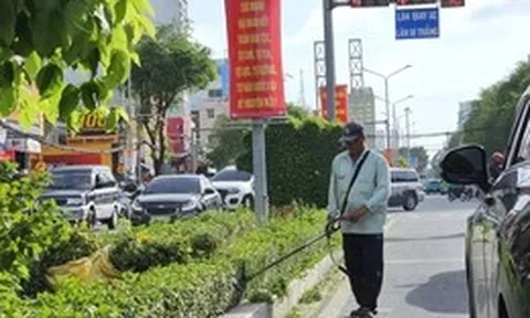 Cần Thơ dự kiến giao cấp xã bố trí địa điểm cho hoạt động quảng cáo rao vặt