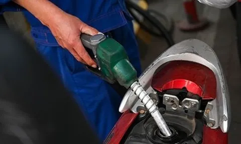 Giá xăng dầu hôm nay 25/8: Thế giới hạ nhiệt, trong nước chờ điều chỉnh