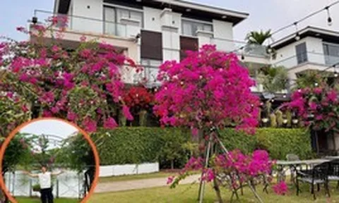 Biệt thự triệu đô của Cao Thái Sơn, thứ quý giá nhất không nằm trong nhà