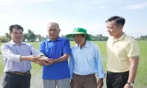 Đúng bí kíp, mùa vàng càng thắng lớn