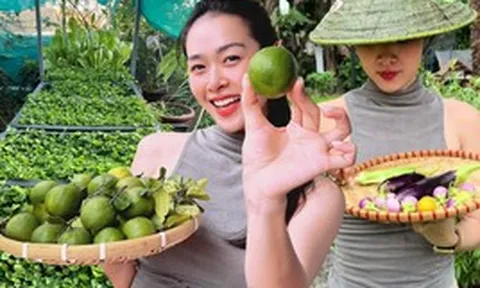 Khu vườn ngập trái cây trong căn nhà phố rộng 100m2 của Diệp Bảo Ngọc