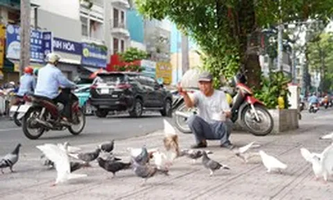 Người cựu binh hơn 30 năm ‘đãi tiệc’ đàn bồ câu giữa lòng TP.HCM