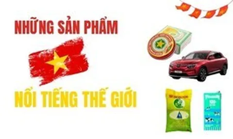 Từ Cao Sao Vàng, gạo ST25 đến VinFast: Những thương hiệu Việt Nam được thế giới biết tới ra sao?