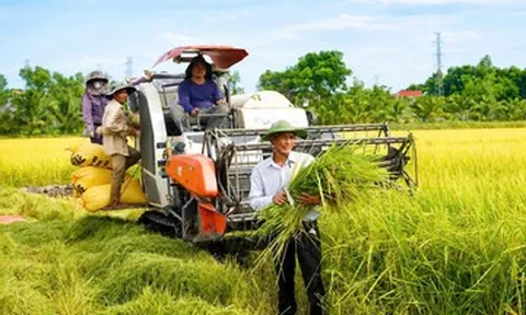 Cựu binh thương tật 65% cải tạo đất hoang ở Quảng Trị, gây dựng cơ ngơi tiền tỷ