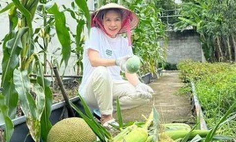 Vườn nhà nghìn mét vuông của Mỹ Tâm