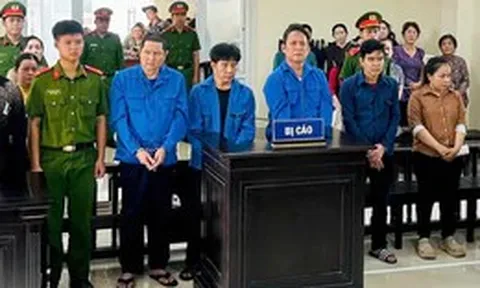 3 cựu viên chức thú y ở Cần Thơ lãnh án vì cho heo bệnh, chết vào giết mổ
