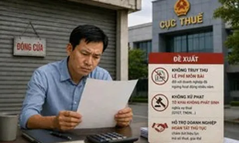 6,8 doanh nghiệp gia nhập, mới có 1 doanh nghiệp rời thị trường