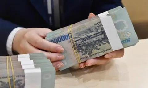 Phó trưởng phòng bị công ty giảm gần nửa lương, yêu cầu nhận lại và trả thêm 667 triệu