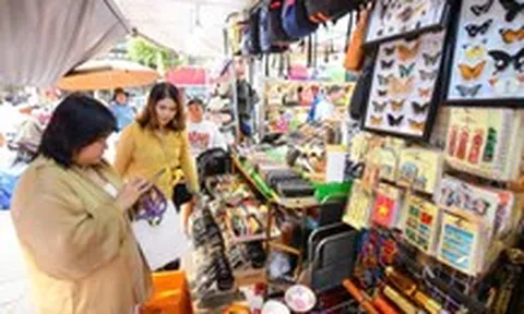 Giải thể doanh nghiệp: Nhiều việc cần làm bên cạnh  'chiến dịch' của ngành thuế
