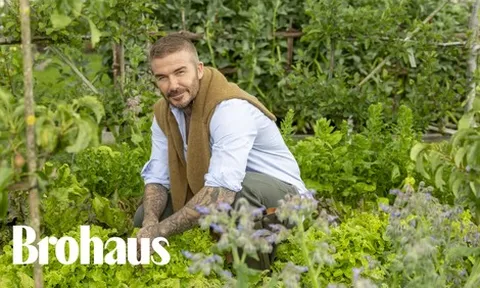 Khu vườn trồng rau nuôi gà 350 tỷ của Beckham