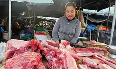 Giá heo hơi ngày 6-9: Cao nhất là các tỉnh phía Bắc, lên mức 60.000 đồng/kg
