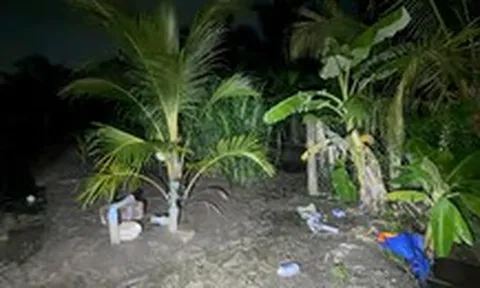 Hai anh em ruột đi tưới dừa chết gần hàng rào lưới B40 nghi do điện giật